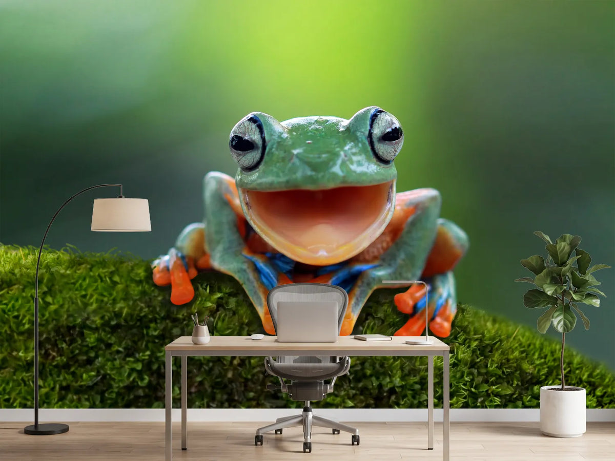 photo-wallpaper-tree-frog-flying-frog-laughing