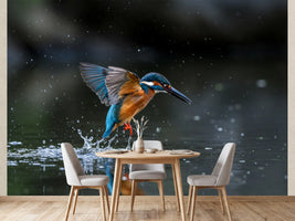 photo-wallpaper-kingfisher-rising-from-the-water-with-glittering-droplets