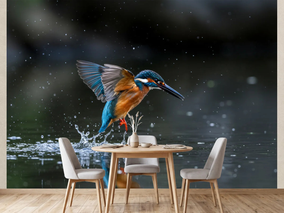 photo-wallpaper-kingfisher-rising-from-the-water-with-glittering-droplets