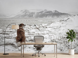 photo-wallpaper-snowstorm-x