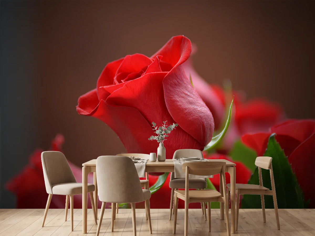 photo-wallpaper-red-rose-in-xl