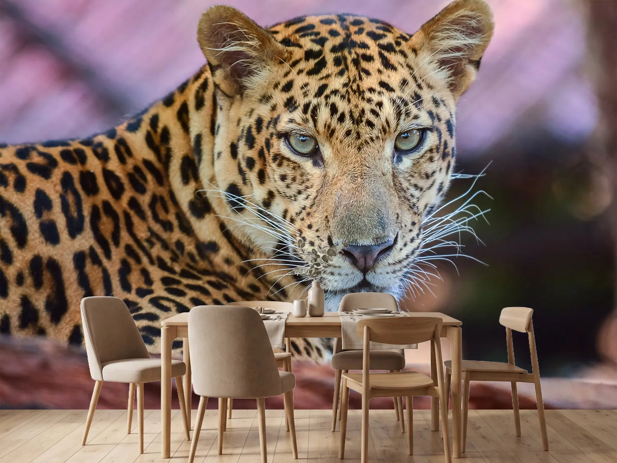 photo-wallpaper-leopard