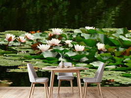 photo-wallpaper-a-field-full-of-water-lilies