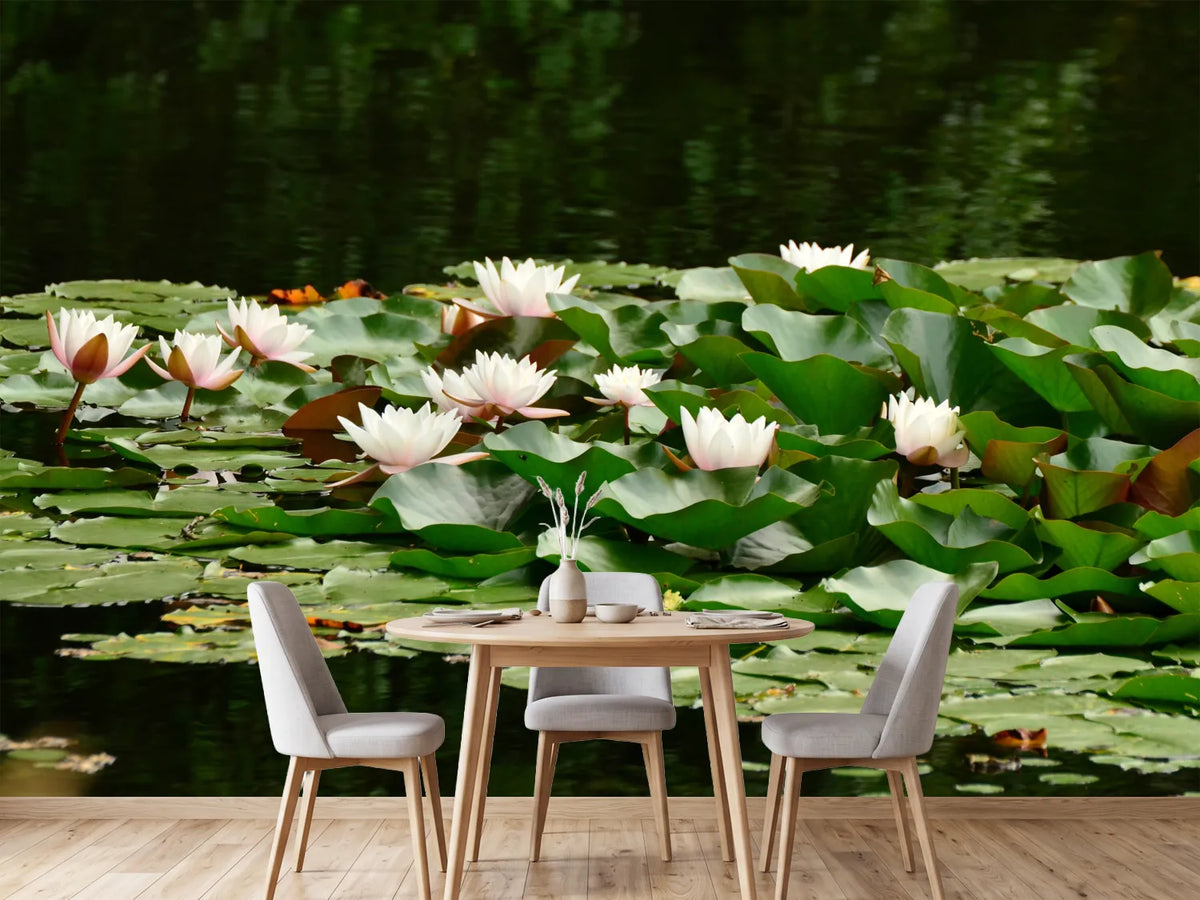 photo-wallpaper-a-field-full-of-water-lilies