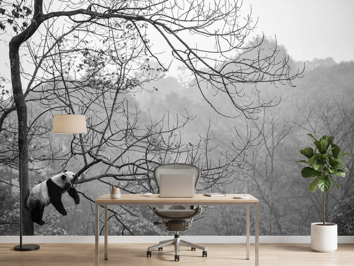 photo-wallpaper-relax