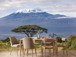 photo-wallpaper-3-elephants-in-front-of-kilimanjaro