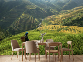 photo-wallpaper-untitled-xi-p
