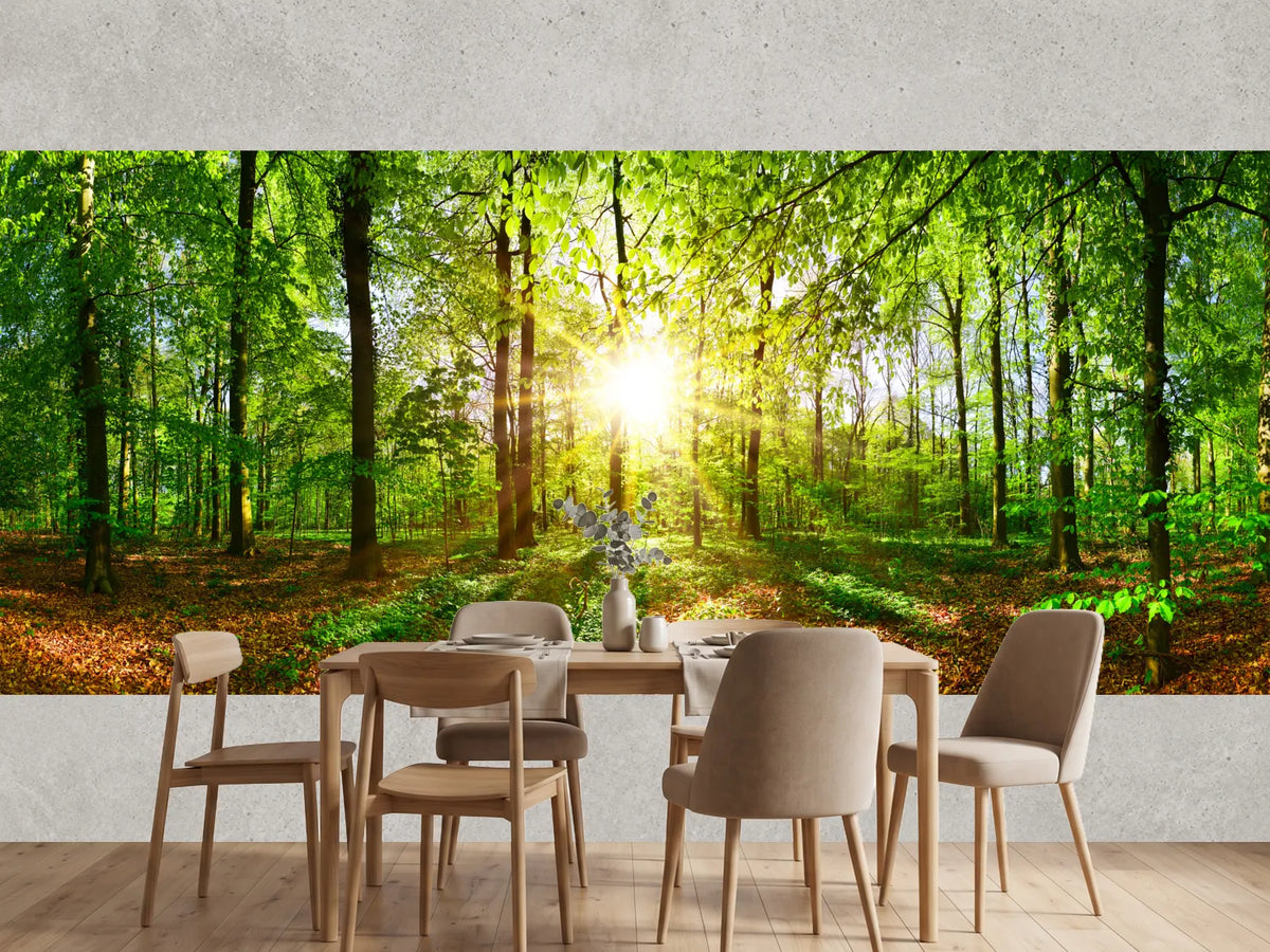 photo-wallpaper-beautiful-forest-in-spring-with-bright-sun-shining-through-the-trees