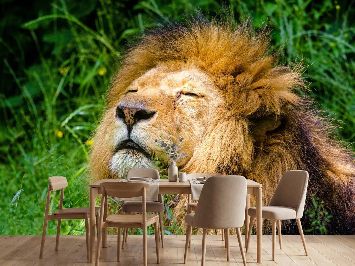 photo-wallpaper-sleeping-lion