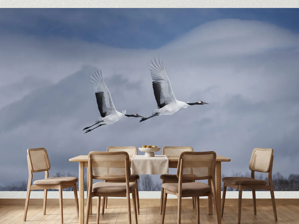 photo-wallpaper-graceful-cranes-in-flight