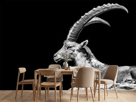 photo-wallpaper-capricorn