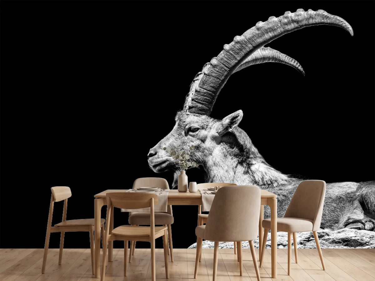 photo-wallpaper-capricorn