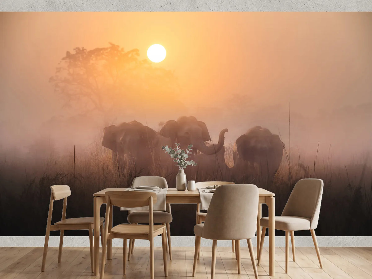 photo-wallpaper-elephants-in-golden-mist