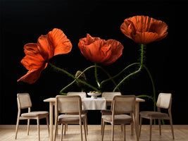 photo-wallpaper-dancing-red-poppies