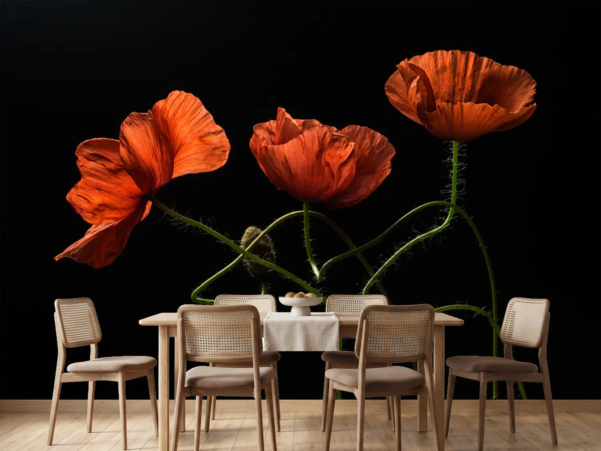 photo-wallpaper-dancing-red-poppies