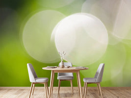 photo-wallpaper-reflections-balls