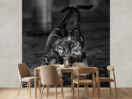 photo-wallpaper-untitled-xmc