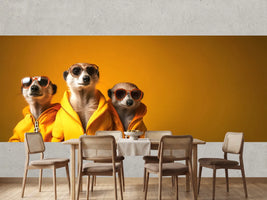 photo-wallpaper-meerkat-trio-in-yellow-hoodies-and-sunglasses