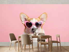 photo-wallpaper-adorable-corgi-wearing-pink-heart-shaped-sunglasses-on-pastel-background
