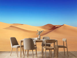 photo-wallpaper-beauty-desert