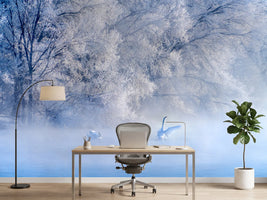 photo-wallpaper-swan-lake-x