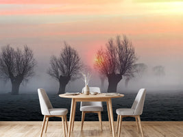 photo-wallpaper-the-shadow-of-time
