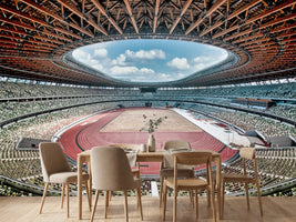 photo-wallpaper-modern-stadium-blue-sky