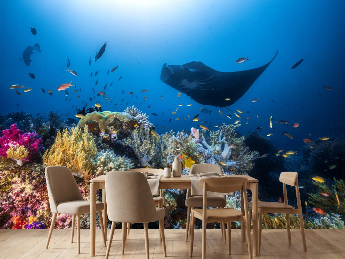 photo-wallpaper-manta-reef-on-the-reef-x