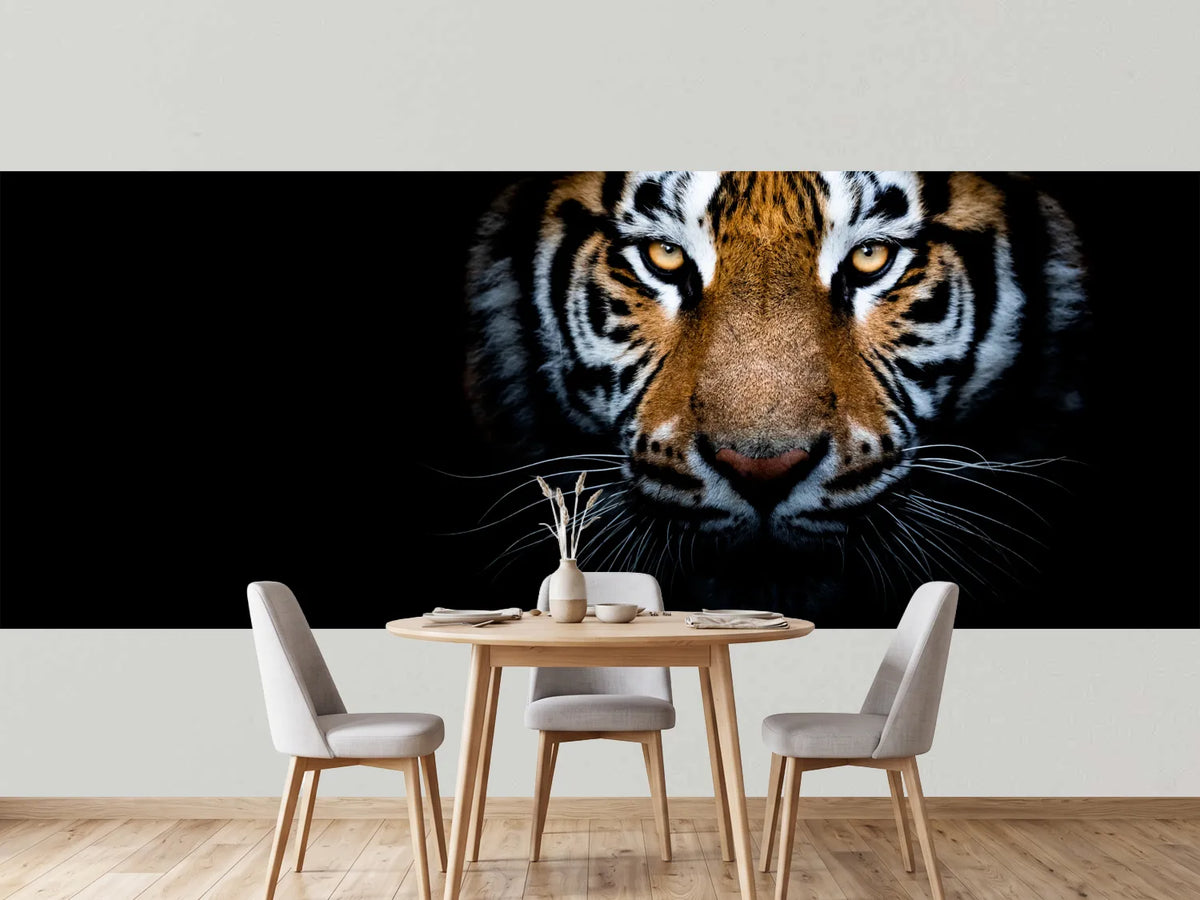 photo-wallpaper-tiger-with-a-black-background
