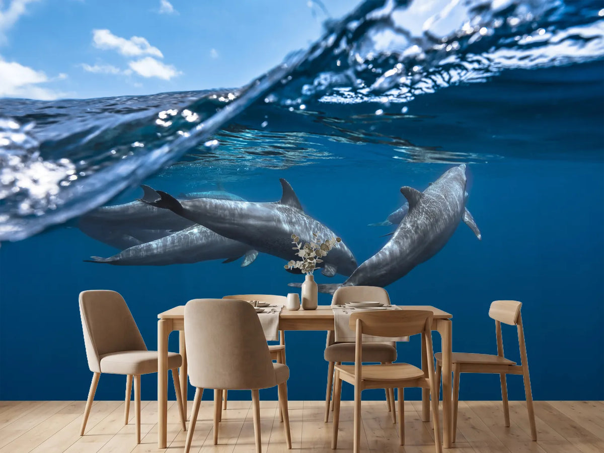 photo-wallpaper-dolphins
