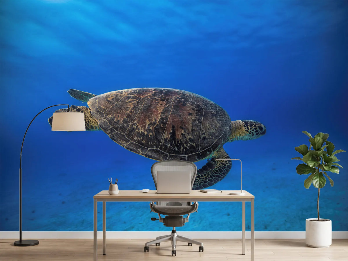 photo-wallpaper-green-turtle-in-the-blue