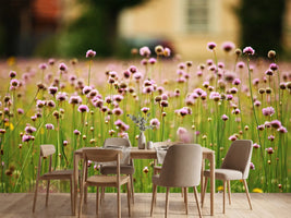 photo-wallpaper-a-meadow-full-of-flowers