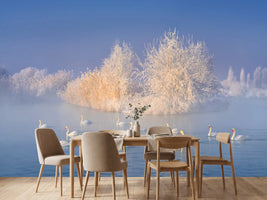 photo-wallpaper-swan-lake-xge