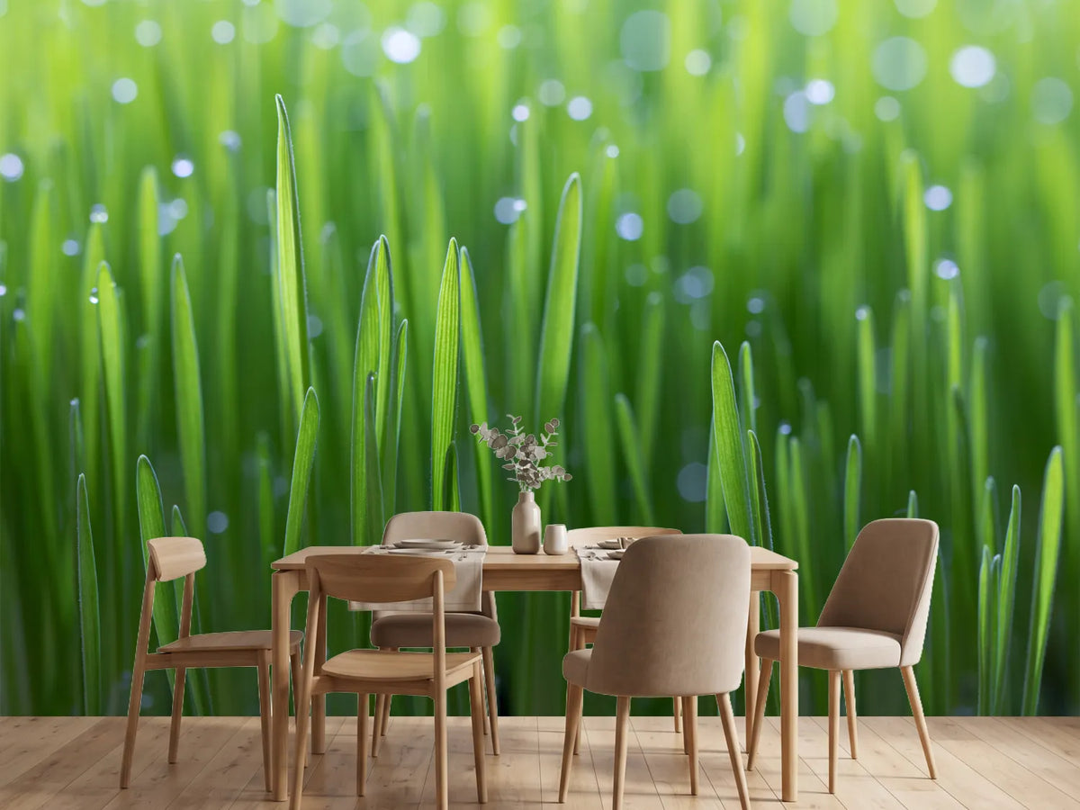 photo-wallpaper-wheat-x
