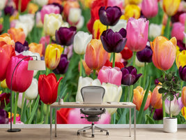 photo-wallpaper-the-colors-of-the-tulips
