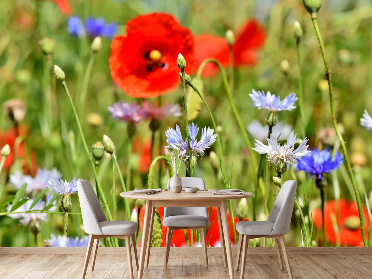 photo-wallpaper-the-wild-poppy-xl
