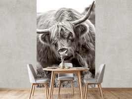 photo-wallpaper-the-bull-x