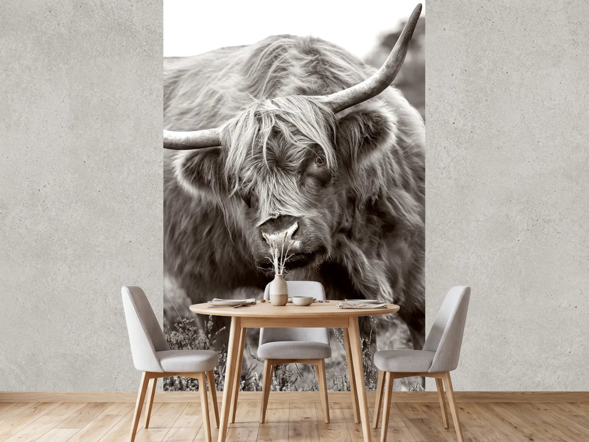 photo-wallpaper-the-bull-x