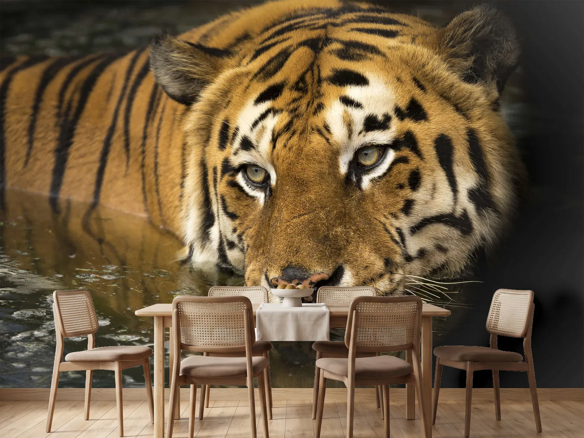photo-wallpaper-tiger-in-the-water