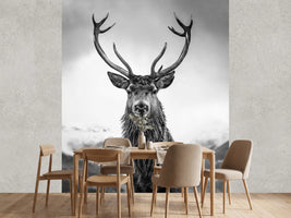 photo-wallpaper-monarch-of-the-glen