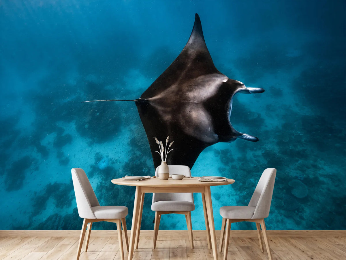 photo-wallpaper-manta-fly