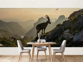 photo-wallpaper-alpstein-in-switzerland