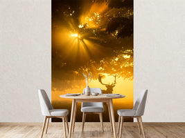 photo-wallpaper-mist-on-tree-cant-stop-sunshine-x