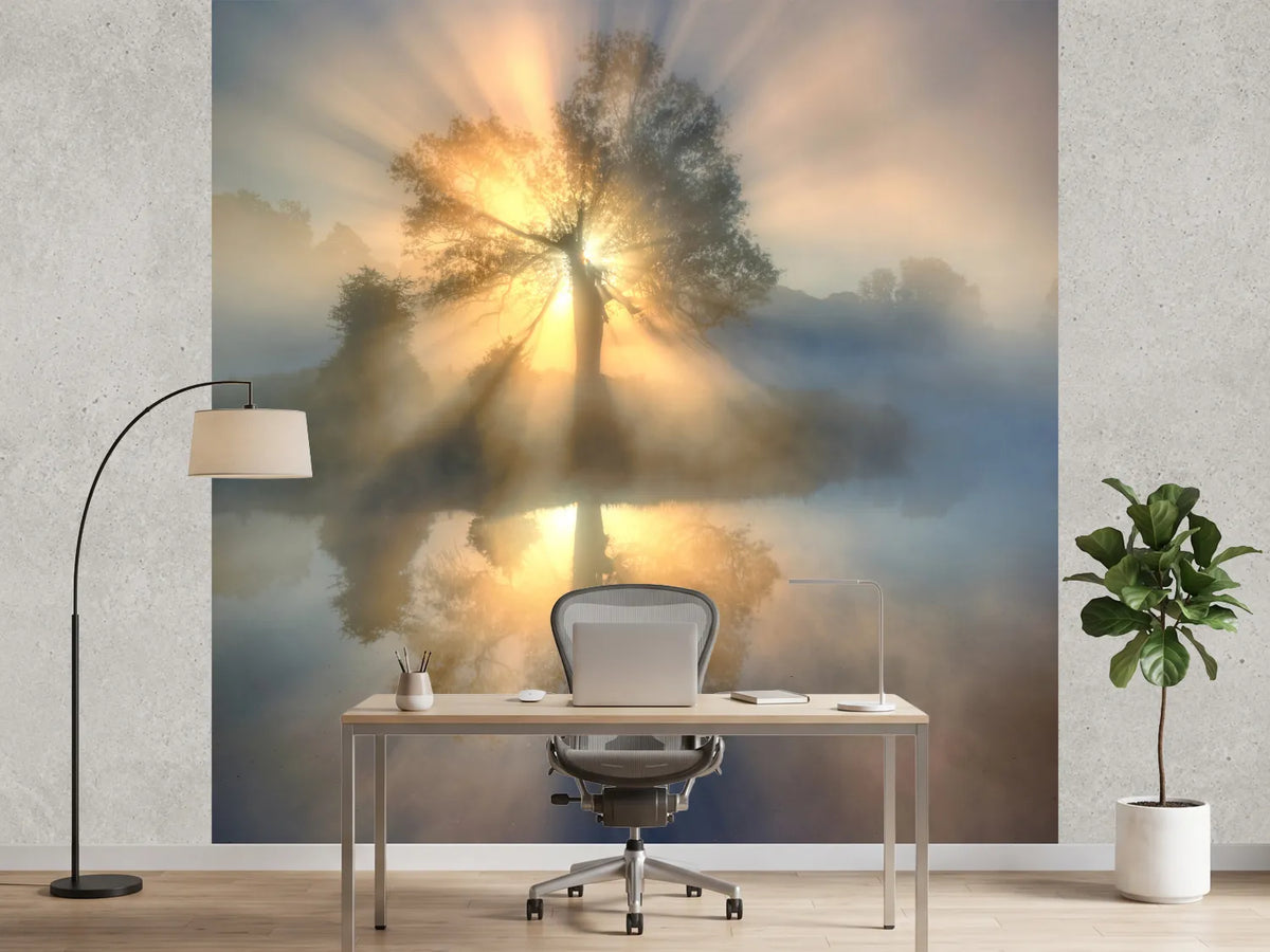 photo-wallpaper-tree-of-light-x