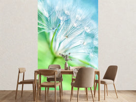 photo-wallpaper-macro-dandelion