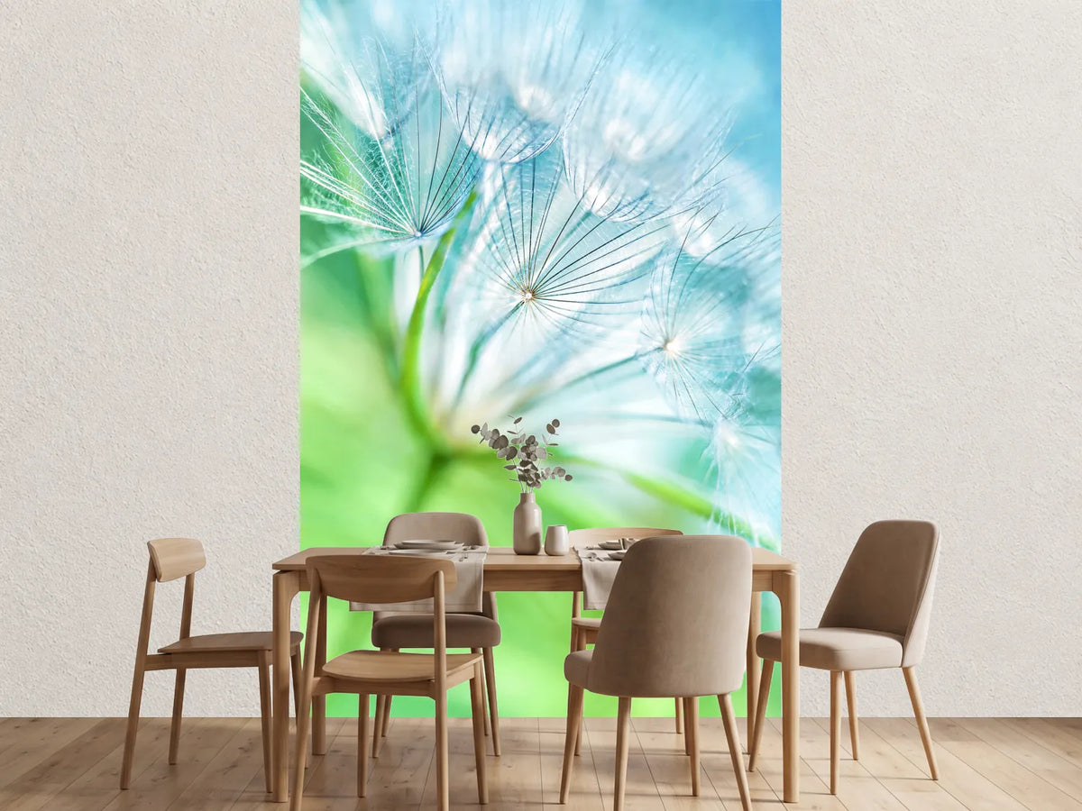 photo-wallpaper-macro-dandelion
