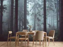 photo-wallpaper-forest-in-the-fog
