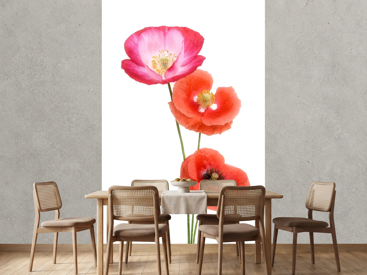 photo-wallpaper-colourful-poppies-x