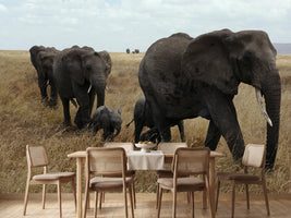 photo-wallpaper-elephant-family