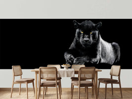 photo-wallpaper-jaguar-with-a-black-background